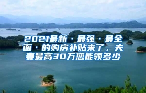 2021最新·最强·最全面·的购房补贴来了，夫妻最高30万您能领多少