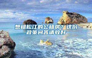 想租松江的公租房？这份政策问答请收好→