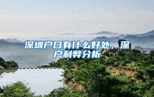 深圳户口有什么好处，深户利弊分析