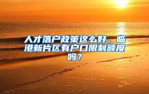 人才落户政策这么好，临港新片区有户口限制额度吗？