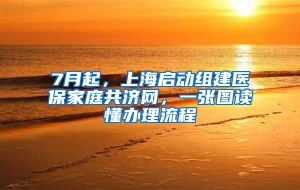 7月起，上海启动组建医保家庭共济网，一张图读懂办理流程