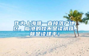 作为上海唯一直接落户地区，临港的娃不是读明珠，就是读建平！