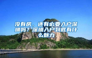 没有房，还有必要入户深圳吗？深圳入户到底有什么魅力