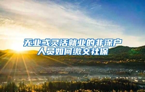 无业或灵活就业的非深户人员如何缴交社保