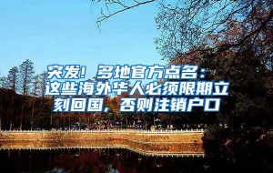 突发! 多地官方点名： 这些海外华人必须限期立刻回国, 否则注销户口