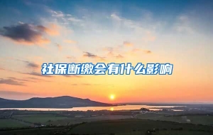 社保断缴会有什么影响