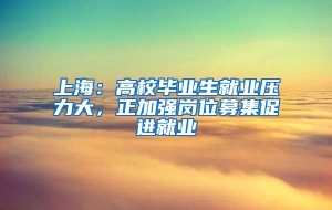 上海：高校毕业生就业压力大，正加强岗位募集促进就业