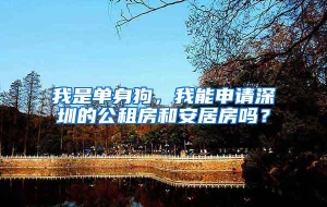 我是单身狗，我能申请深圳的公租房和安居房吗？