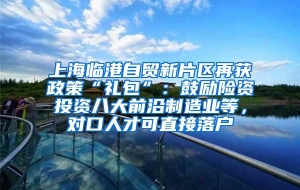 上海临港自贸新片区再获政策“礼包”：鼓励险资投资八大前沿制造业等，对口人才可直接落户