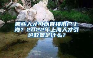 哪些人才可以直接落户上海？2022年上海人才引进政策是什么？