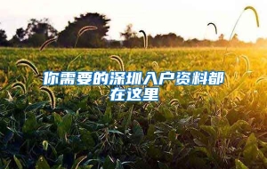 你需要的深圳入户资料都在这里