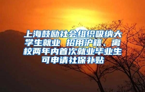 上海鼓励社会组织吸纳大学生就业 招用沪籍、离校两年内首次就业毕业生可申请社保补贴