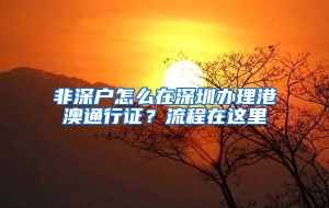 非深户怎么在深圳办理港澳通行证？流程在这里