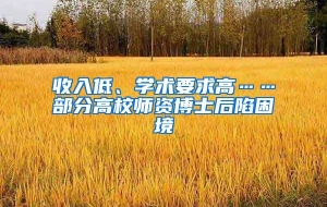 收入低、学术要求高……部分高校师资博士后陷困境