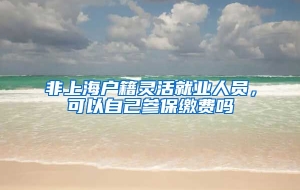 非上海户籍灵活就业人员，可以自己参保缴费吗