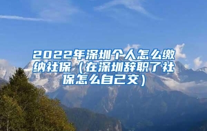 2022年深圳个人怎么缴纳社保（在深圳辞职了社保怎么自己交）