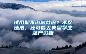 试用期不缴纳社保？不仅违法，还可能丢失留学生落户资格