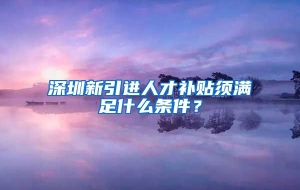 深圳新引进人才补贴须满足什么条件？