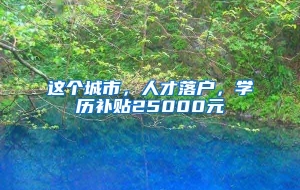 这个城市，人才落户，学历补贴25000元