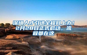 深圳人才引进全程网上办！2月28日正式启动，流程都在这