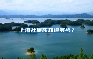 上海社保你知道多少？