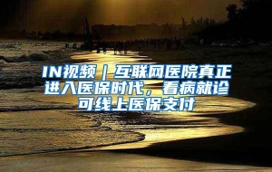 IN视频｜互联网医院真正进入医保时代，看病就诊可线上医保支付