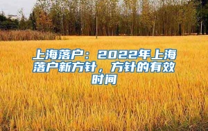 上海落户：2022年上海落户新方针，方针的有效时间