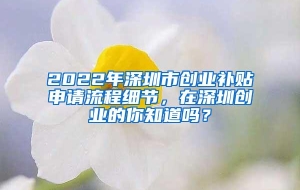 2022年深圳市创业补贴申请流程细节，在深圳创业的你知道吗？