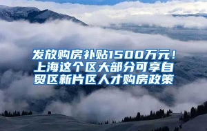 发放购房补贴1500万元！上海这个区大部分可享自贸区新片区人才购房政策